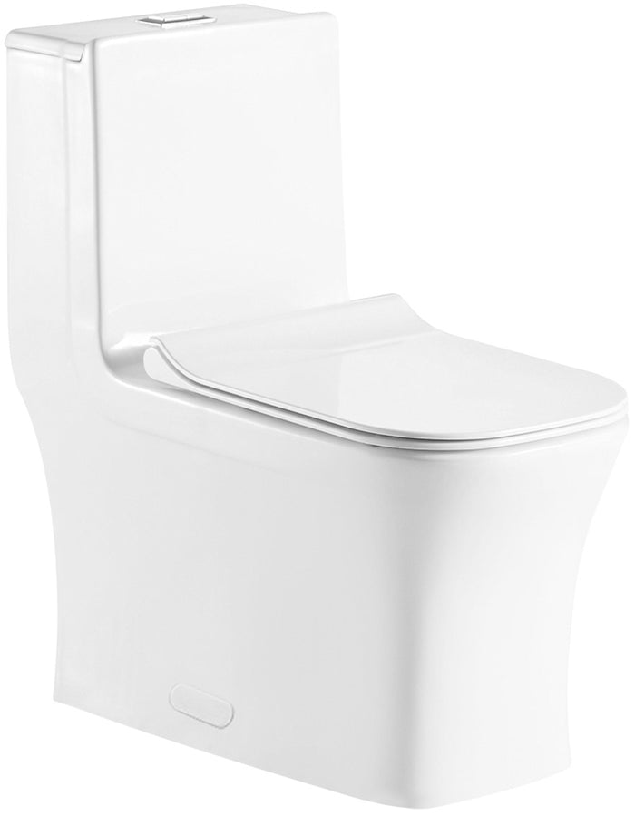 One Piece Square Toilet with Soft Closing Seat and Dual Flush Height 29 9/10"